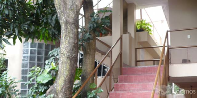 Se renta apartamentos amueblados - 1