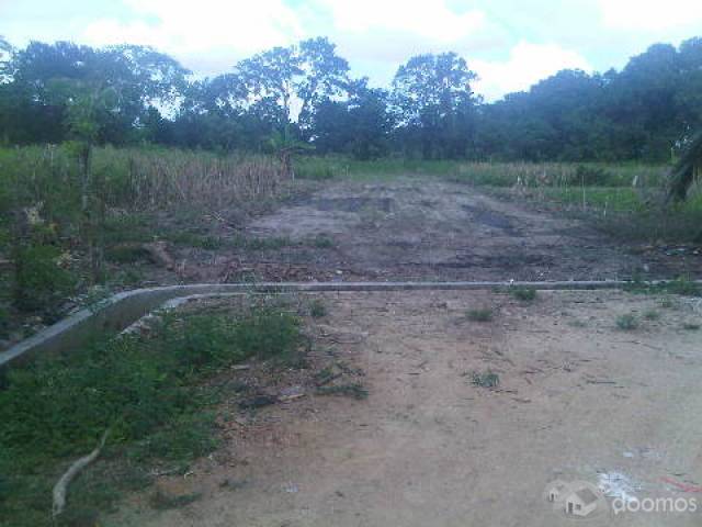 TERRENOS PARA CASAS DE CAMPO - 1