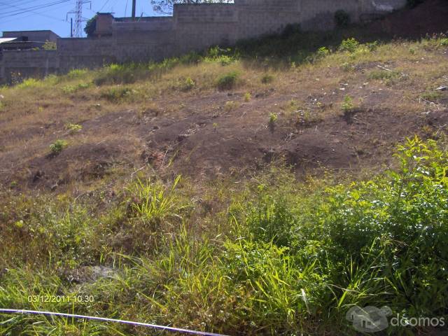 SE VENDE LOTE DE TERRENO EN RES. EL MOLINON - 1