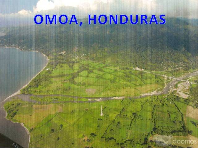 Playas de Omoa - 1