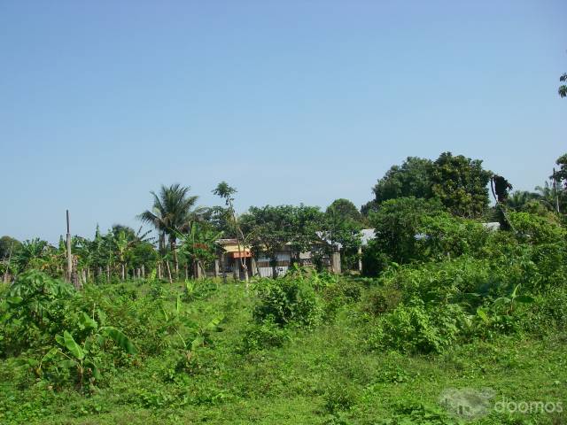Venta de terreno en el progreso Colonia Cobitral - 1