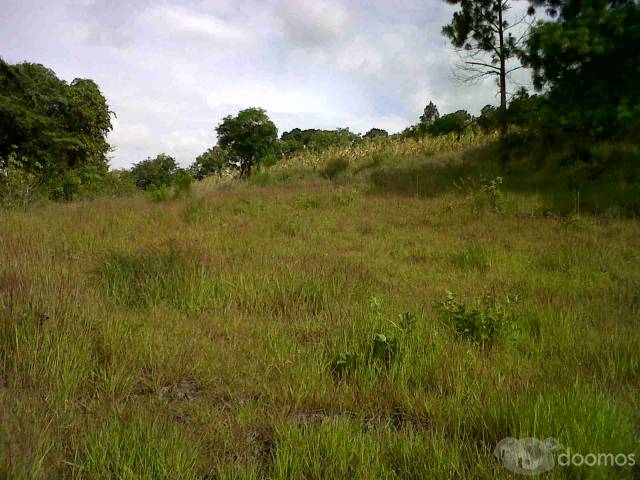 VENTA DE TERRENO BELLO EN SAN JOSE DE SOROGUARA - 1