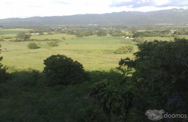 VENTA DE FINCA EN EL ZAMORANOZAMORANO - 1