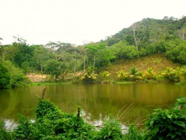 Comprar Finca Baracoa Baracoa - 1